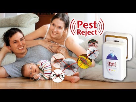 Pest Reject: anti-insectes sans produits chimiques