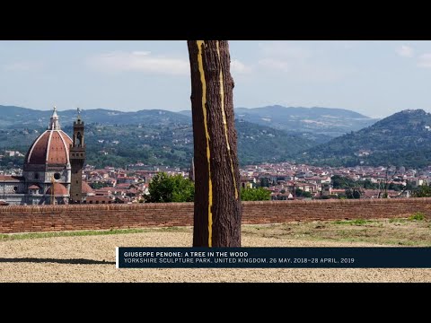 Tim Marlow’s Must-See Museum Shows: Giuseppe Penone: A Tree in the Wood at Yorkshire Sculpture Park