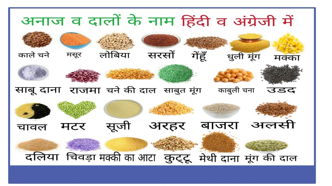 Grains/Cereals and Pulses Names in Hindi and English. अनाज व दालों के नाम हिंदी व अंग्रेजी भाषा में.