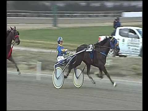 Trotto 03/02/2017 - 1ª corsa