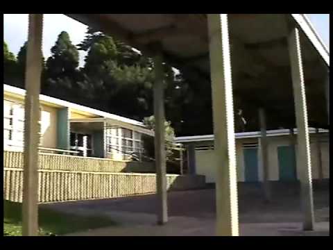 Dustin Dollin Shake Junt