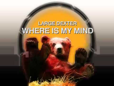 Large Dexter - Where is my mind