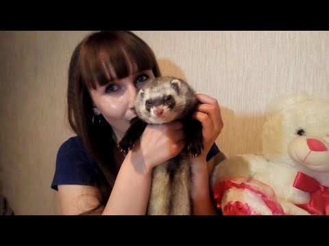 У нас ЧП!Чудом удалось избежать операции!