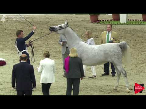 214 FERMATA Sharjah International 2018