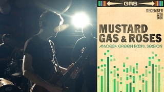 Mustard Gas and Roses - Amoeba Green Room Session