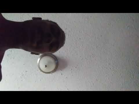 Vonta_woodz-glockiana