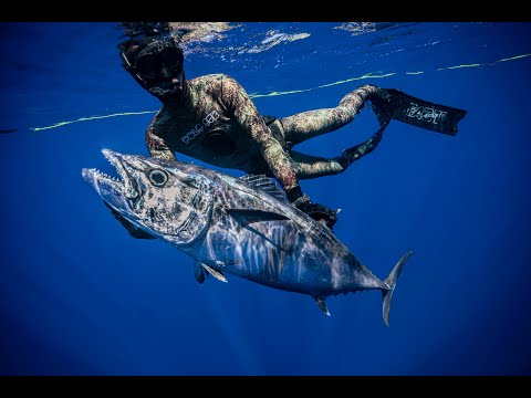 Spearfishing Madagascar with MCS