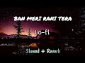 Ban meri rani tera raja ban ja song | lofi+slowed+reverb songs punjabi for you | Lo-fi song 1.0