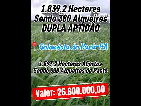 1.839 Hectares, Titulada, Goianésia do Pará-PA, Rota da Soja! Confiram a Descrição Abaixo ⬇️
