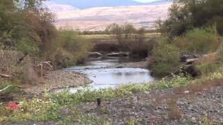 preview picture of video 'River Menders & AdamsCounty, Idaho volunteers rehabilitate Little Weiser River'