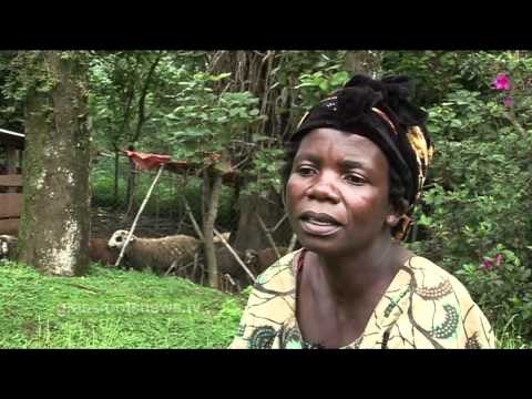 Congo: The Weapon of Rape part 2
