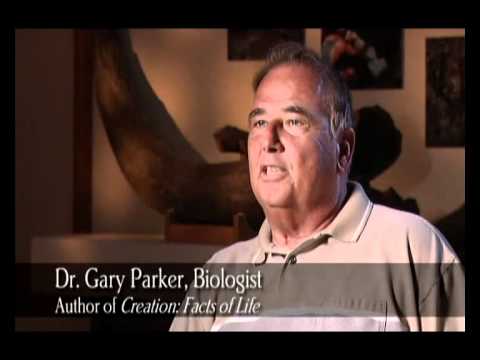 Čudesni Bog: Tvorac