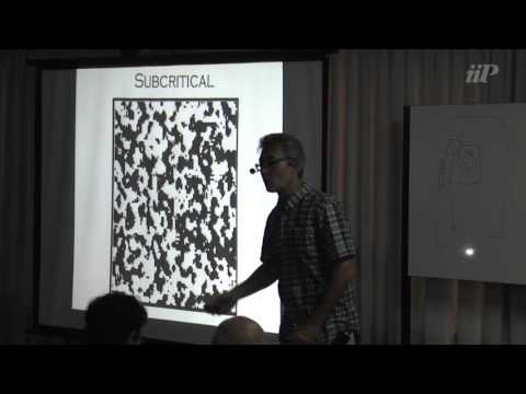 Neuronal avalanches and criticality -  John Beggs