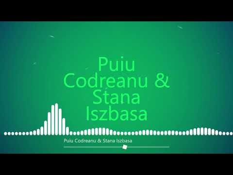 Puiu Codreanu & Stana Izbasa  - Esti dragostea vietii mele