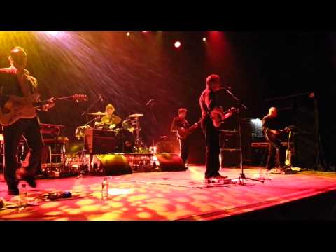 Lloyd Cole & The Leopards - Forest Fire [Live]