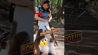 Download lagu GAWAT‼️🫣🤣 Rok Wanita Ini Hampir Melorot ⁉️  #shorts​ #videoshort​ #videoviral mp3