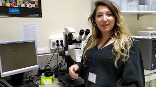 11 de Febrero 2022 (versión corta)