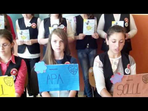 patrula de reciclare cernesti mm