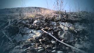 The Abramson Singers -- Hallmark Poultry Ltd.