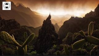 The Durutti Column - Otis