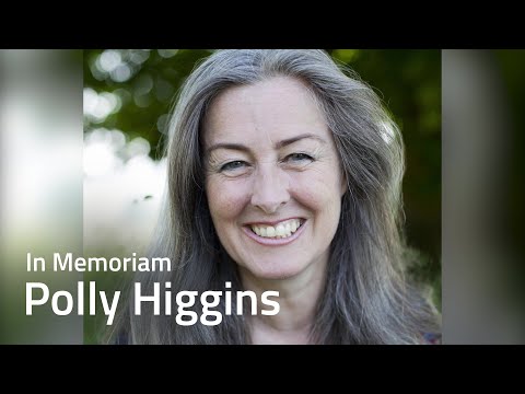 In Memoriam: Polly Higgins und ihr Kampf gegen Ökozid