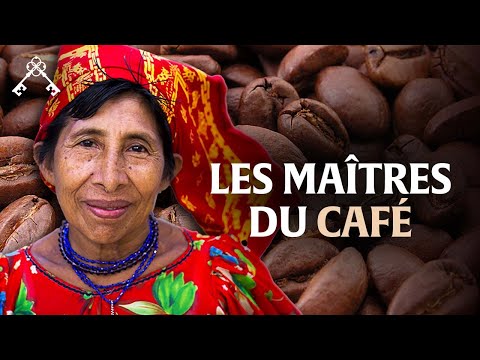Du volcan à la tasse : l’art caché du café de spécialité ☕️ 🌿 | Trésors du Patrimoine