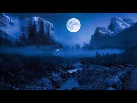 Haunting Loon Call On A Rainy Night ~ {8 Hours} *No Music*