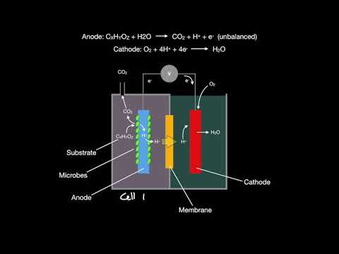 image-What is a micro fuel cell?