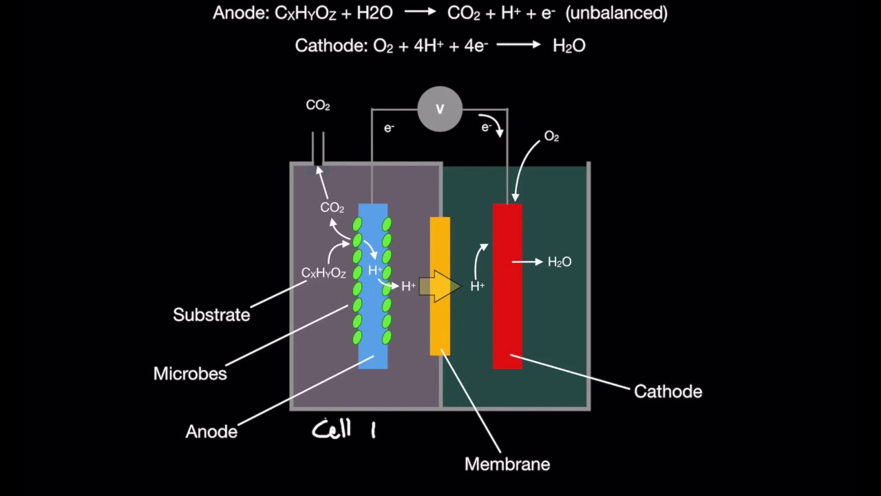 Microbial Fuel Cells Introduction (MFC's pt. 1)