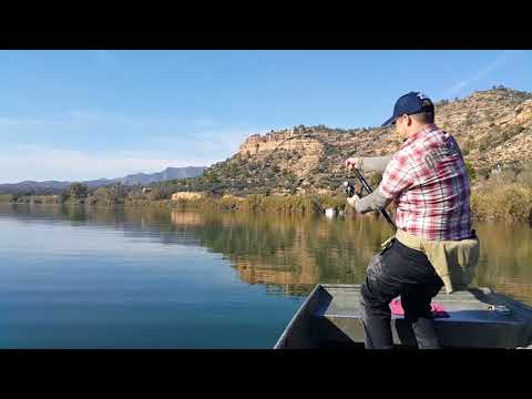 2m+ Catfish Spinning On River Ebro - Silicon Lure - Som - Silure - Wels - Waller