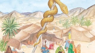 למה נוצרתי? - ליכותי תורה ח"כ משה #1