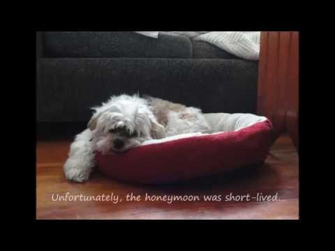 Ben Kenobi-Popp...the force is strong with this one...