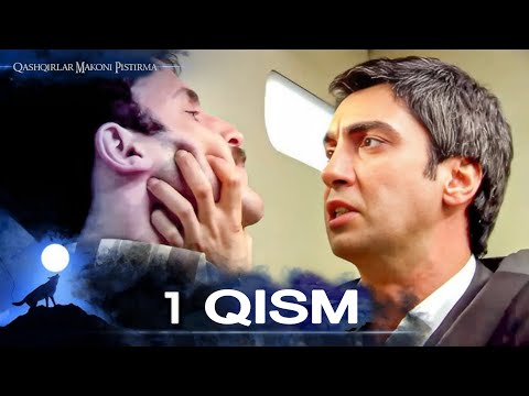 Qashqirlar Makoni Pistirma 1 Qism Full HD