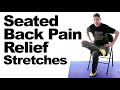 Seated Back Pain Relief Stretches