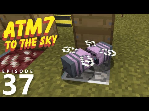 Modded Minecraft E37 - Iridium Bees