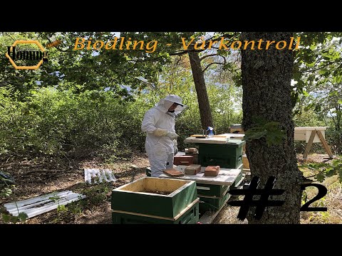 #2 Biodling - Vårkontroll