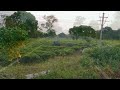 Asian Engry Elephant Attack Elephant Attack Elephant Elephant Wildlife Animals Beautifulindia8344