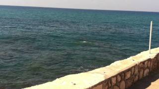 preview picture of video 'Fishing Lebanese style.MOV'