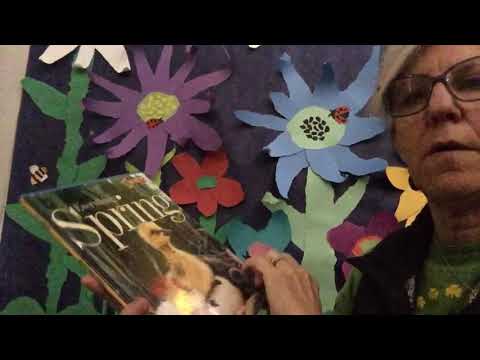 Everything Spring by Jill Esbaum