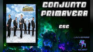 Ese - Conjunto Primavera