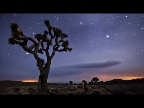 metrVST & Zhenya Yudina and Zhenya Vill - two hearts