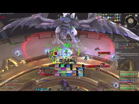 Skill Issue VS Raszageth Mythic, resto druid
