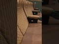 Kamala Theatre Couple Seat Screen2