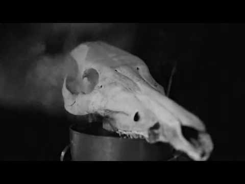 Fuscare x Thisquietarmy 01/05/16