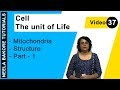 Cell The Unit Of Life NEET Mitochondria Structure Part 1 Neela Bakore Tutorials