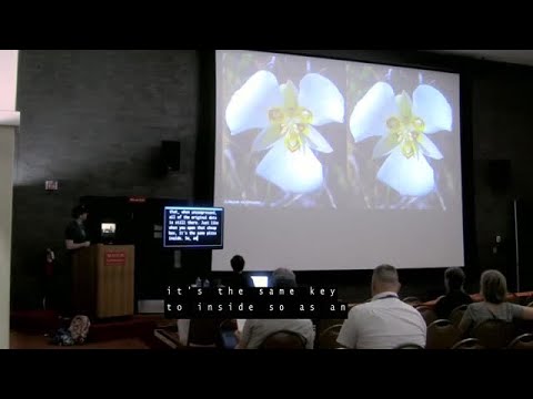 Kevin Hoffman: Optimizing Responsive Images in WordPress