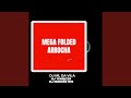 MEGA FOLDED ARROCHA