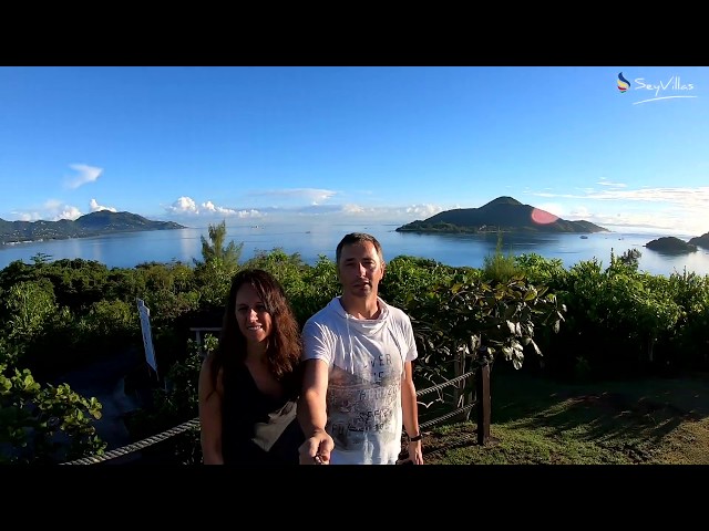 Video - Image - Von weißen Stränden, riesigen Bäumen und fliegenden Hunden