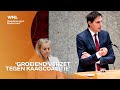 Informateur Hamer gaat praten met Kaag en Hoekstra