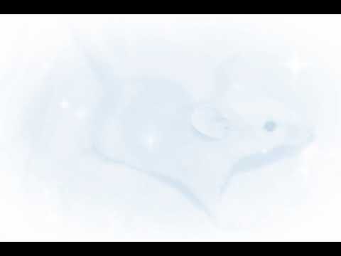 \̅_̅ +_̅/̷̚  ┊ Xxtarlit⚸ - fleeting frozen heart ┊ 1h